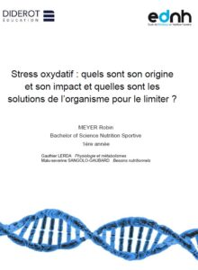 Travaux de recherche