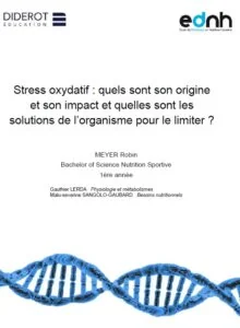 Travaux de recherche